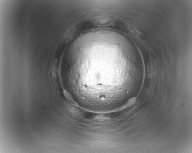 X0000071830515200607072213