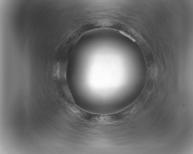 X0000071830517200607072213