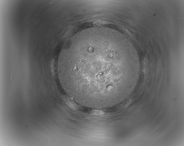 X0000071830519200607072213