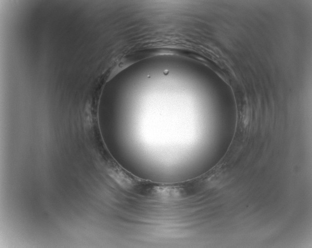 X0000071830520200607072213