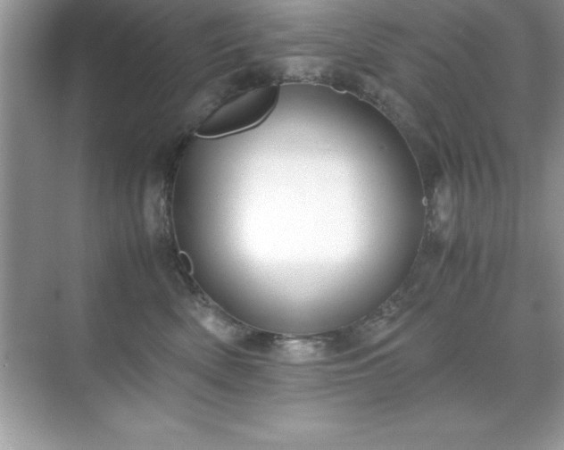 X0000071830522200607072213