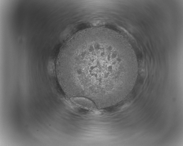 X0000071830523200607072213