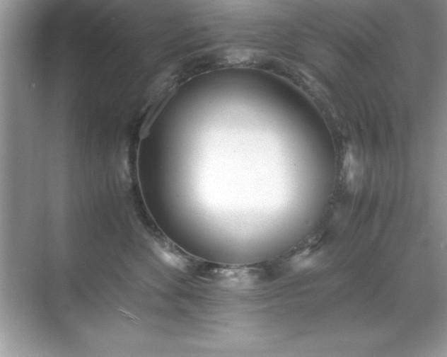 X0000071830524200607072213