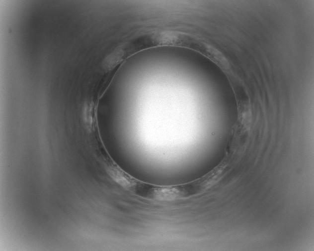 X0000071830525200607072213