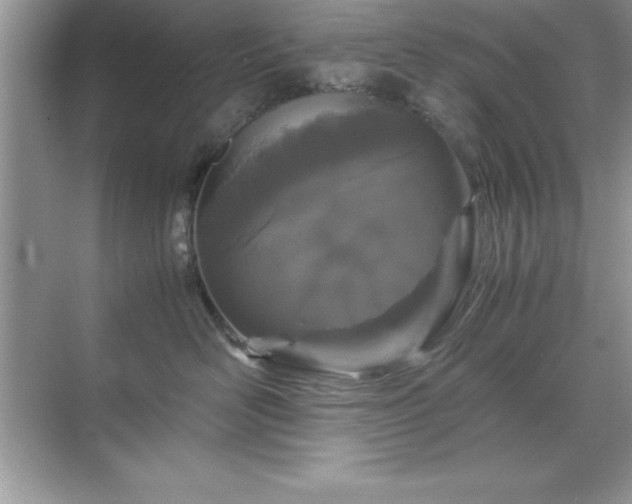 X0000071830526200607072213