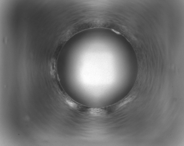 X0000071830528200607072213