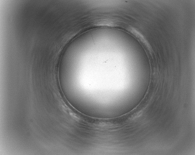 X0000071830529200607072212