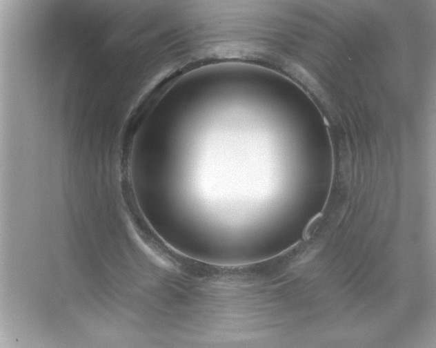 X0000071830530200607072212