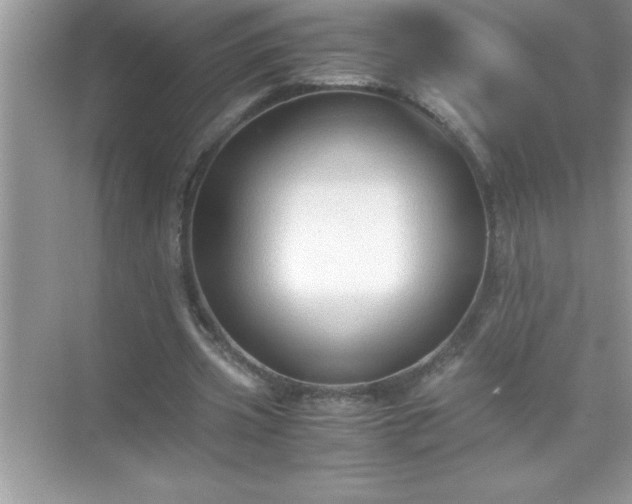 X0000071830533200607072212