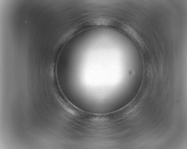 X0000071830537200607072212