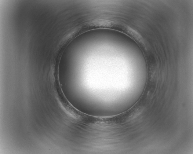 X0000071830538200607072212