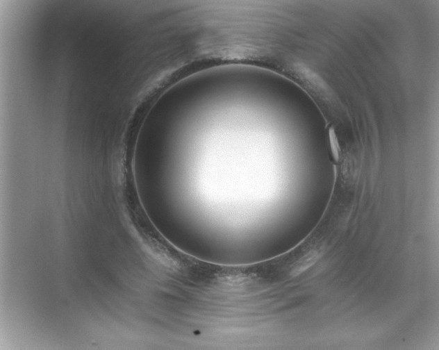 X0000071830540200607072212