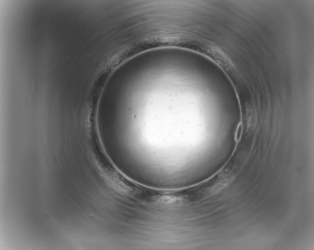 X0000071830542200607072212