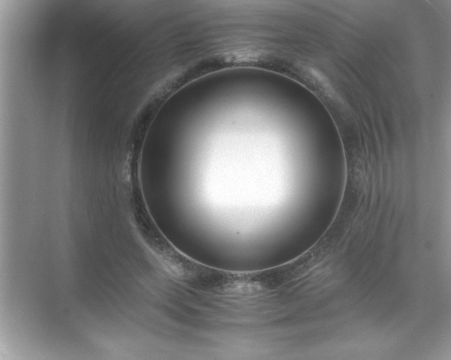 X0000071830543200607072212