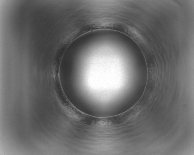 X0000071830546200607072212