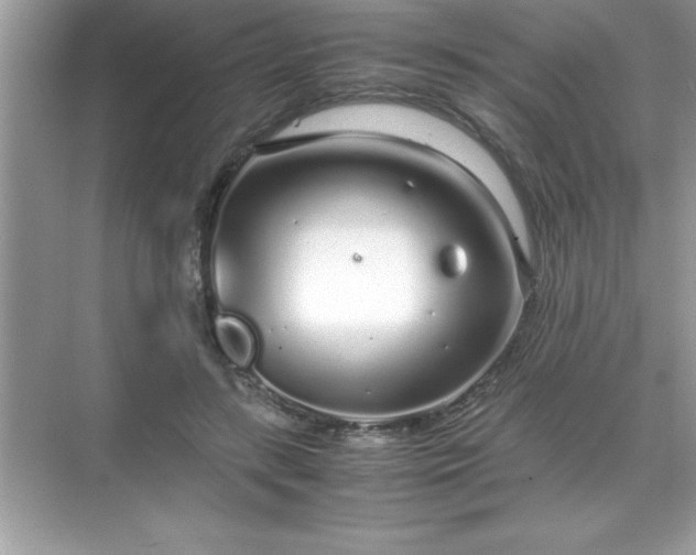 X0000071830547200607072212