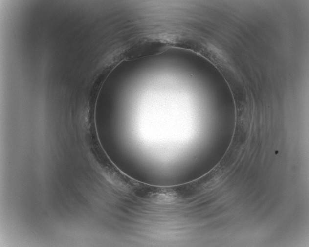 X0000071830548200607072212