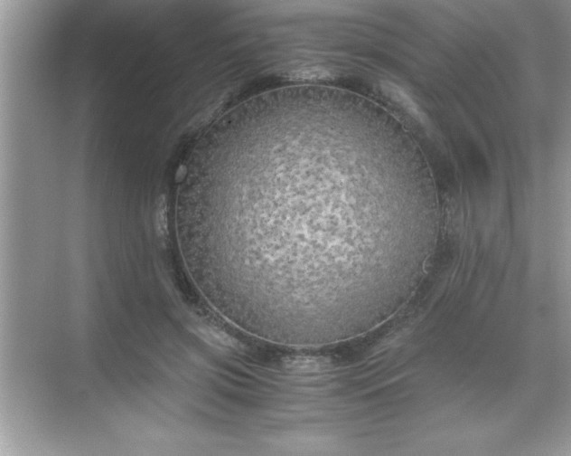 X0000071830549200607072212