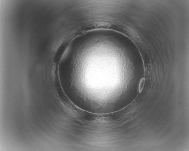 X0000071830550200607072212