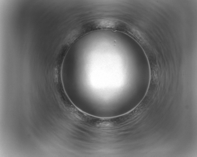 X0000071830551200607072212