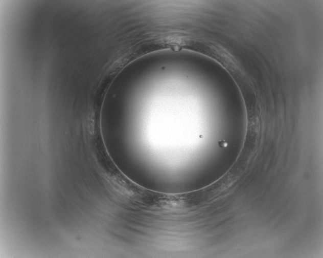 X0000071830552200607072212