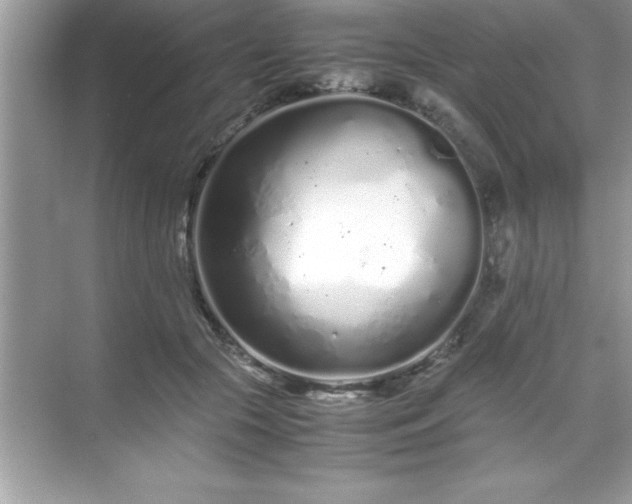 X0000071830553200607072212