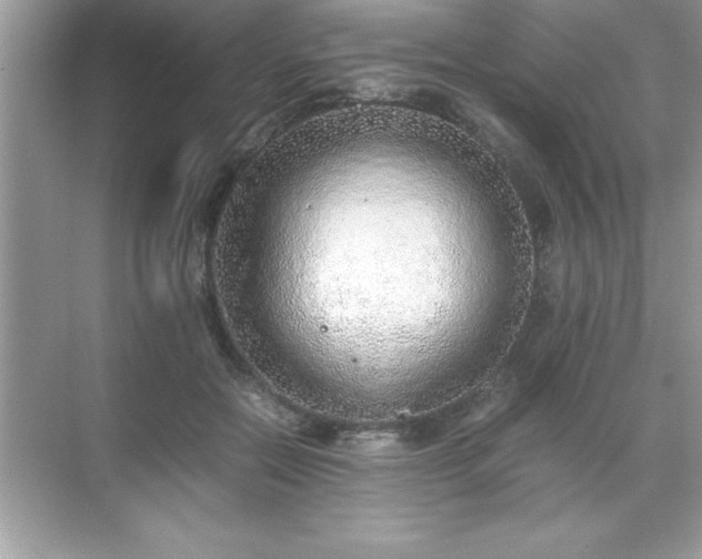 X0000071830554200607072212