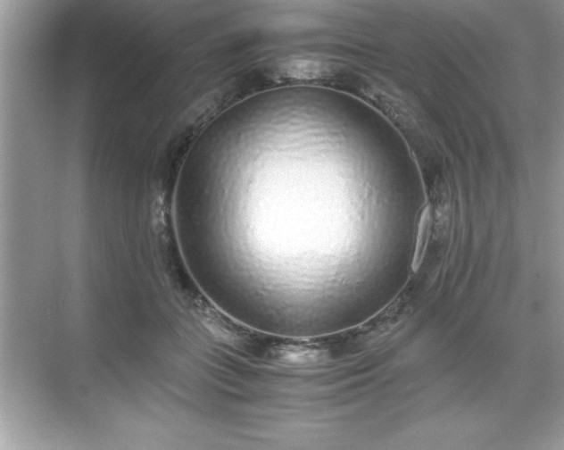 X0000071830555200607072212