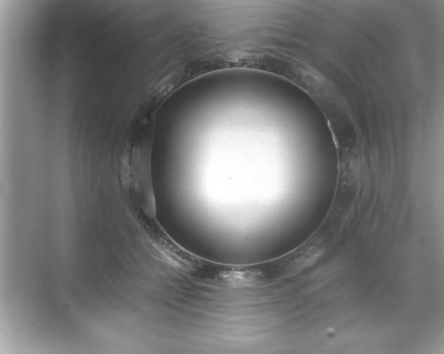 X0000071830558200607072212