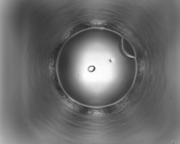 X0000071830559200607072212