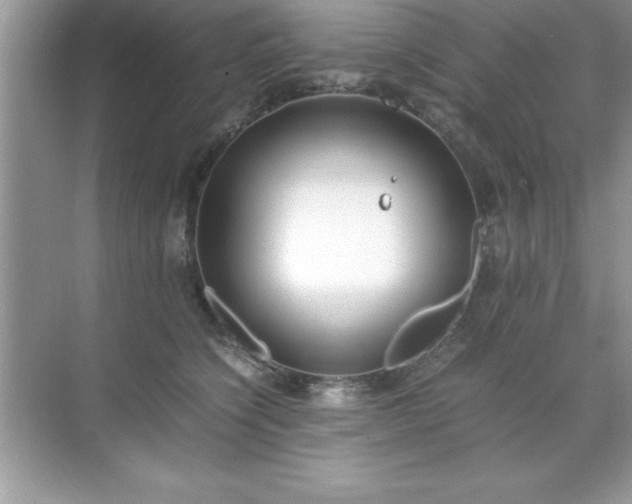 X0000071830564200607072213