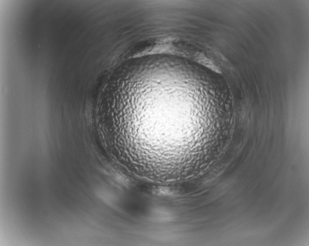 X0000071830565200607072213