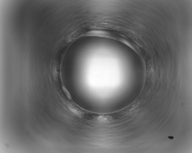 X0000071830566200607072213