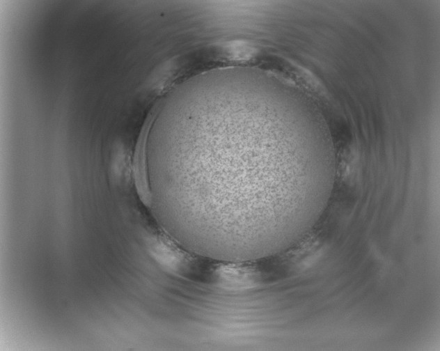 X0000071830568200607072213