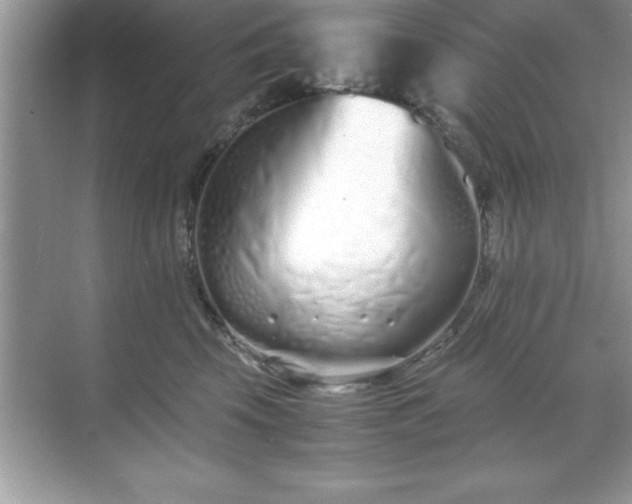 X0000071830569200607072213