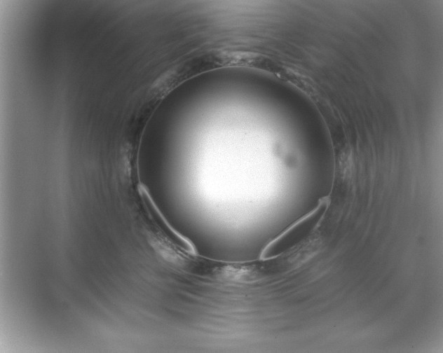 X0000071830570200607072213