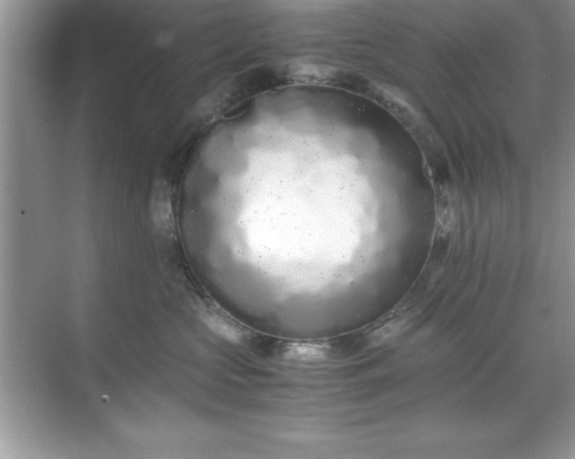 X0000071830573200607072213