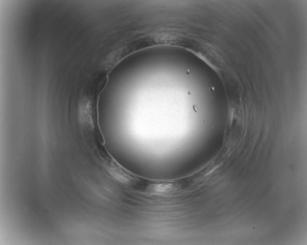 X0000071830575200607072213