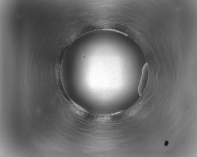 X0000071830576200607072213