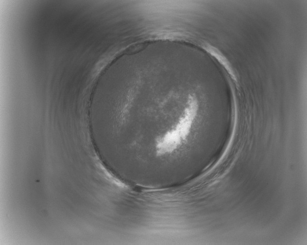 X0000071830577200607072212