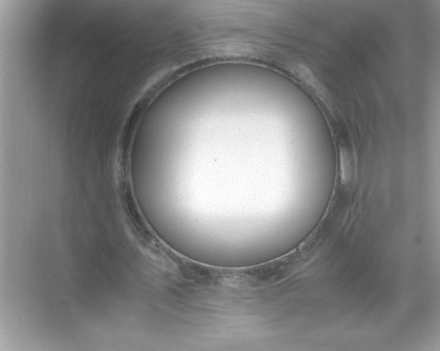 X0000071830579200607072212