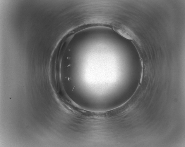 X0000071830580200607072212