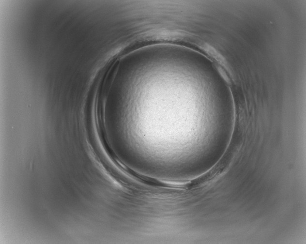 X0000071830581200607072212