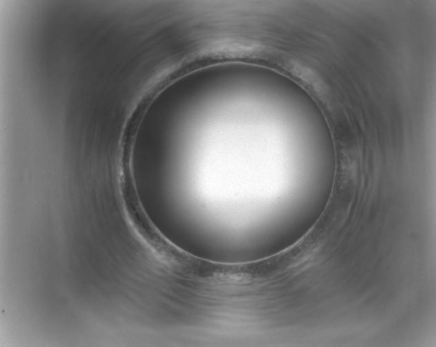 X0000071830582200607072212