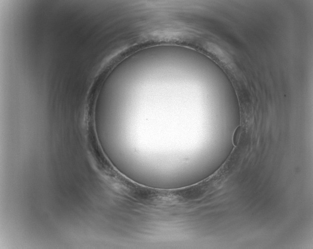 X0000071830583200607072212