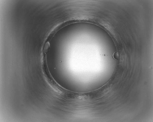 X0000071830584200607072212