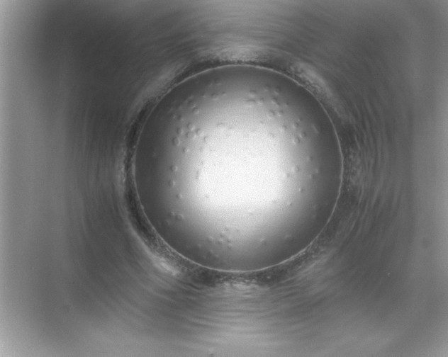 X0000071830586200607072212