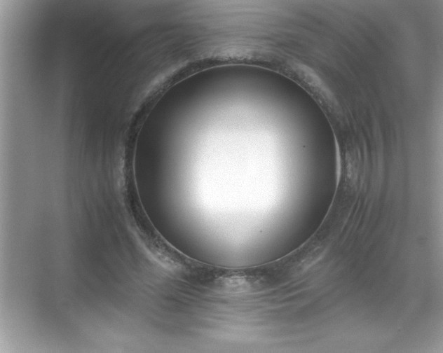 X0000071830588200607072212