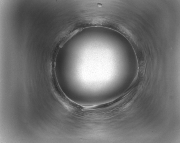 X0000071830589200607072212