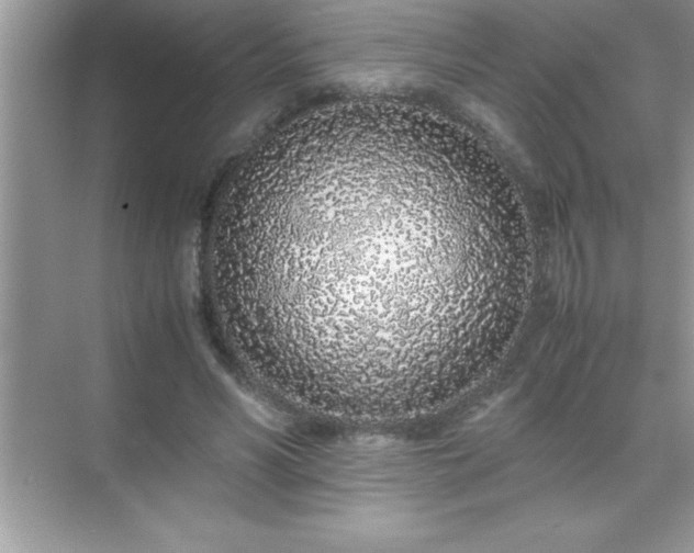 X0000071830590200607072212